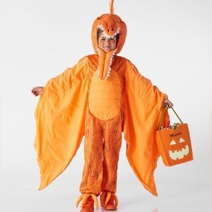 Pottery Barn Kids pterodactyl Dinasour Halloween Costume 4-6 years